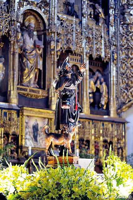 3830786245_1c65b64a66_z