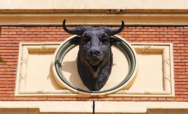 ...y una de las estupendas cabezas de toro que hay en ella