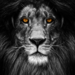 Descubre Zaragoza: "Historias y leyendas de Zaragoza"